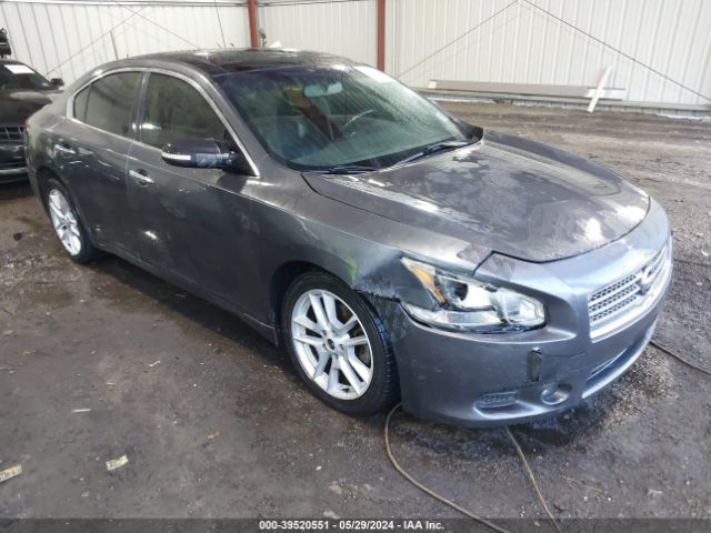 NISSAN MAXIMA 2010 1n4aa5ap3ac813638