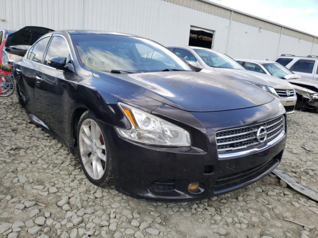 NISSAN MAXIMA S 2010 1n4aa5ap3ac813669