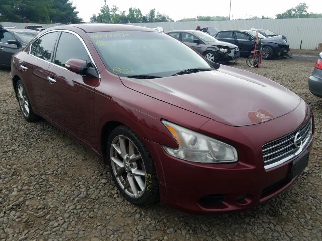 NISSAN MAXIMA 2010 1n4aa5ap3ac820704