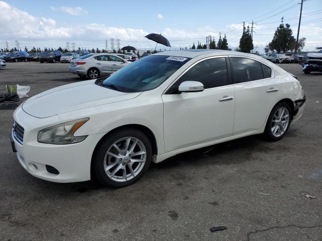 NISSAN MAXIMA S 2010 1n4aa5ap3ac822968