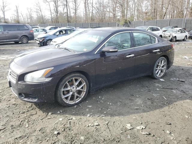 NISSAN MAXIMA 2010 1n4aa5ap3ac827569