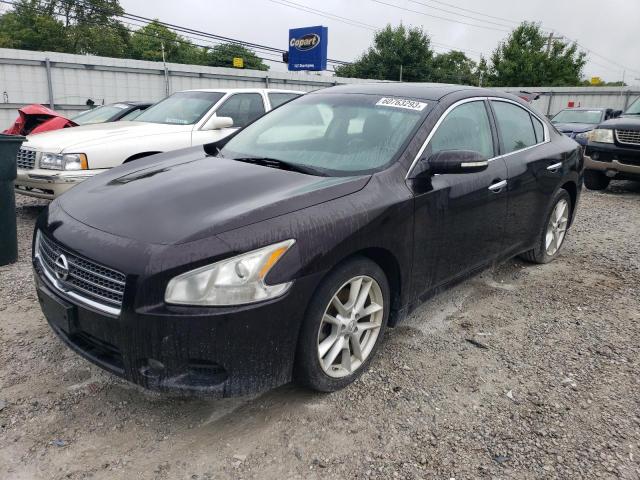 NISSAN MAXIMA 2010 1n4aa5ap3ac828575