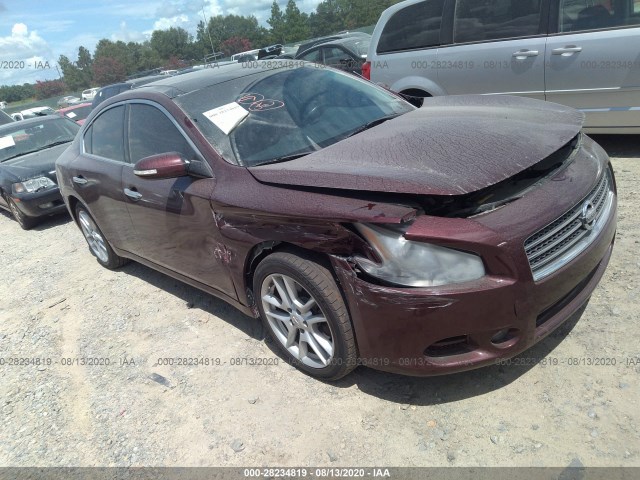 NISSAN MAXIMA 2010 1n4aa5ap3ac834134