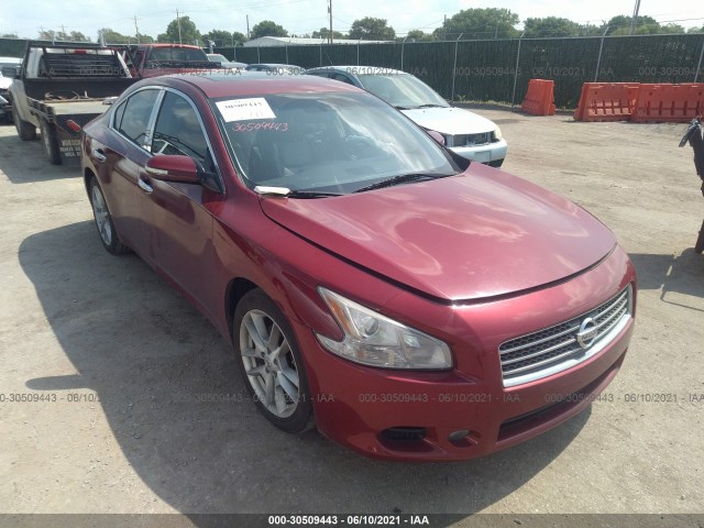 NISSAN MAXIMA 2010 1n4aa5ap3ac836126