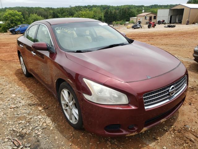 NISSAN MAXIMA 2010 1n4aa5ap3ac838393