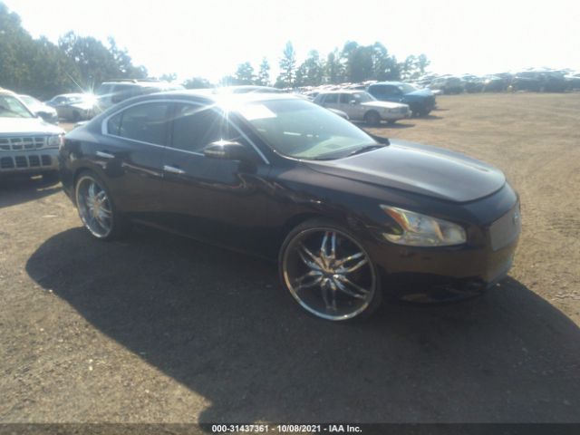 NISSAN MAXIMA 2010 1n4aa5ap3ac839057