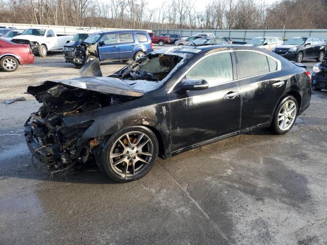 NISSAN MAXIMA 2010 1n4aa5ap3ac839169