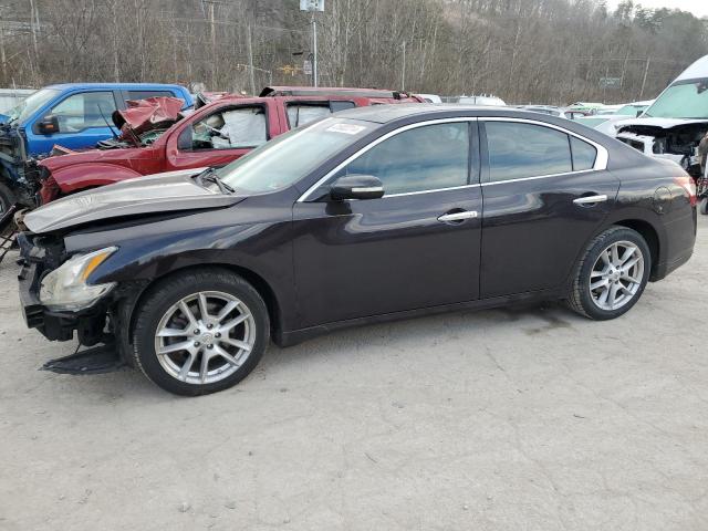 NISSAN MAXIMA 2010 1n4aa5ap3ac840225