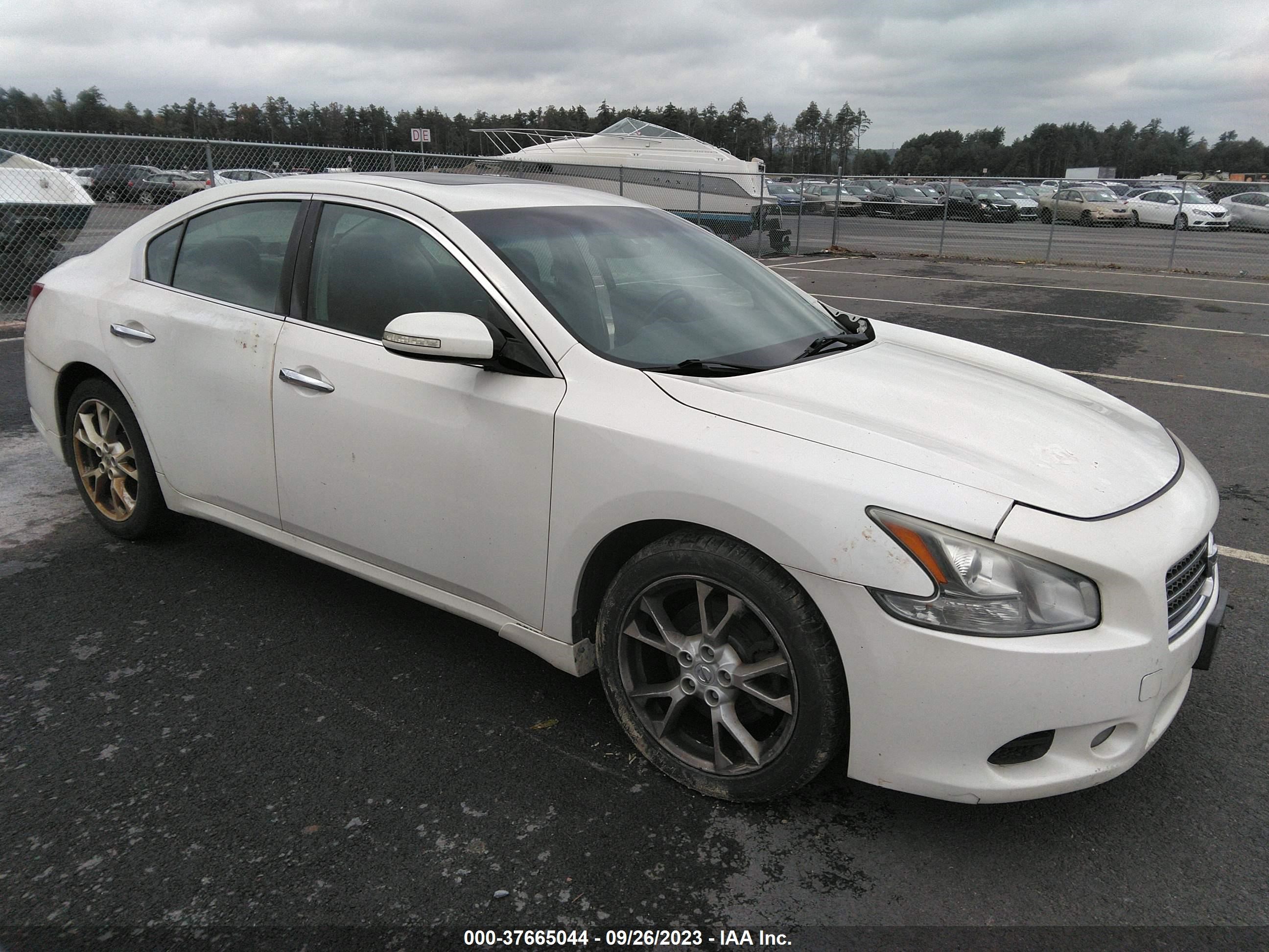 NISSAN MAXIMA 2010 1n4aa5ap3ac847157