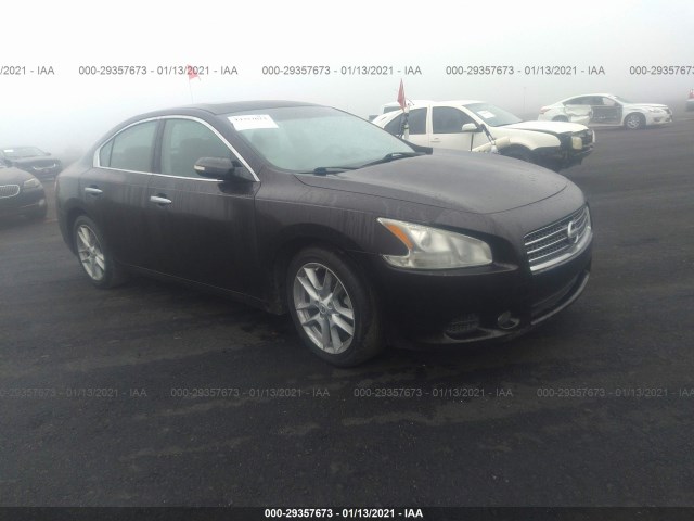 NISSAN MAXIMA 2010 1n4aa5ap3ac855811