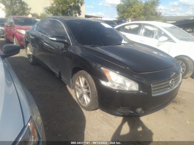 NISSAN MAXIMA 2010 1n4aa5ap3ac874973