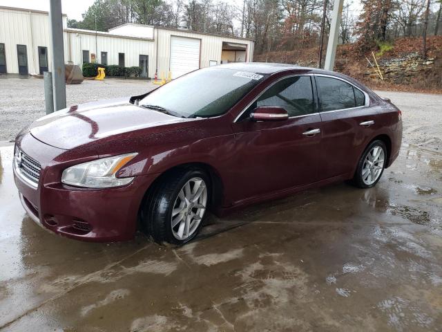 NISSAN MAXIMA 2010 1n4aa5ap3ac875055