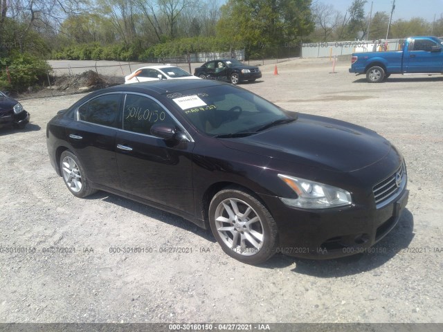 NISSAN MAXIMA 2011 1n4aa5ap3bc804648