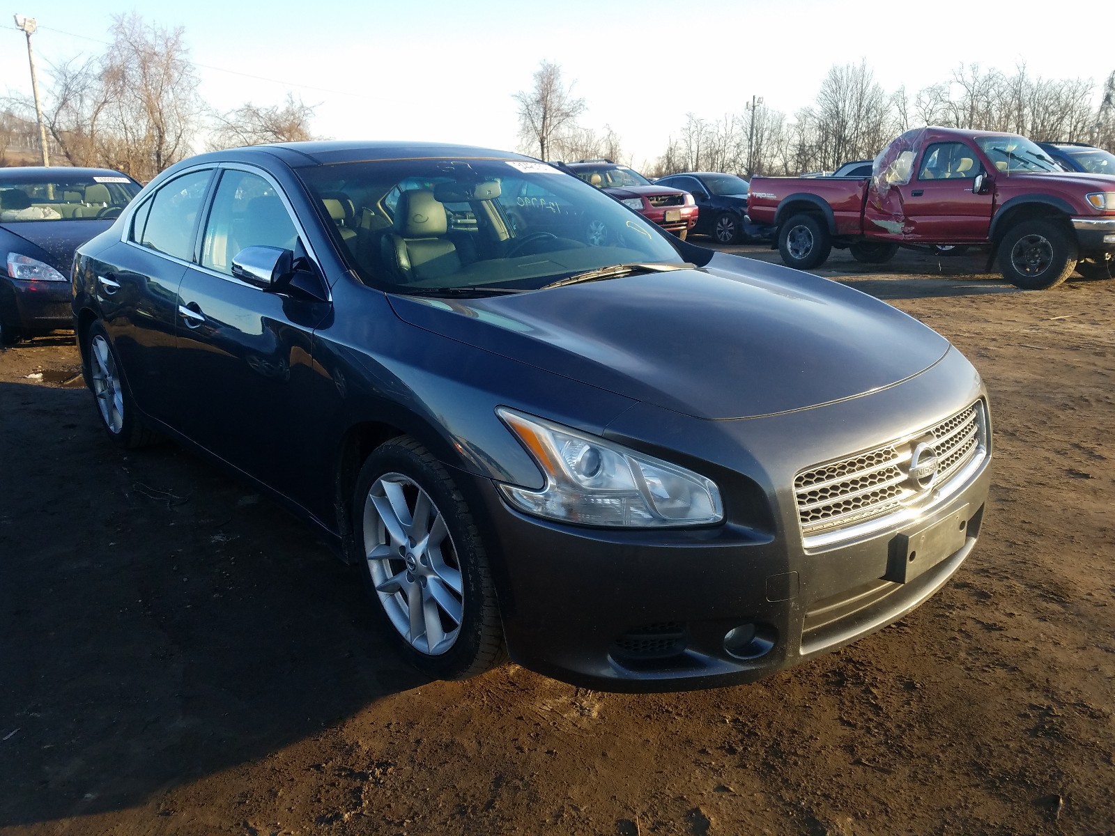 NISSAN MAXIMA 2011 1n4aa5ap3bc809428