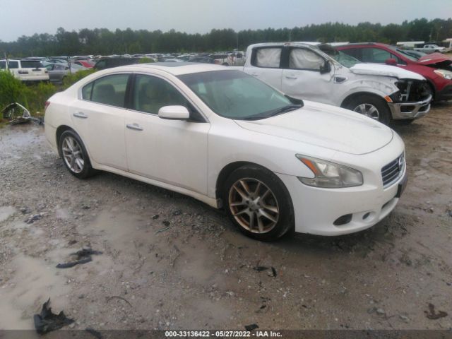 NISSAN MAXIMA 2011 1n4aa5ap3bc822020