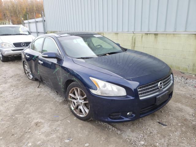 NISSAN MAXIMA S/S 2011 1n4aa5ap3bc830344