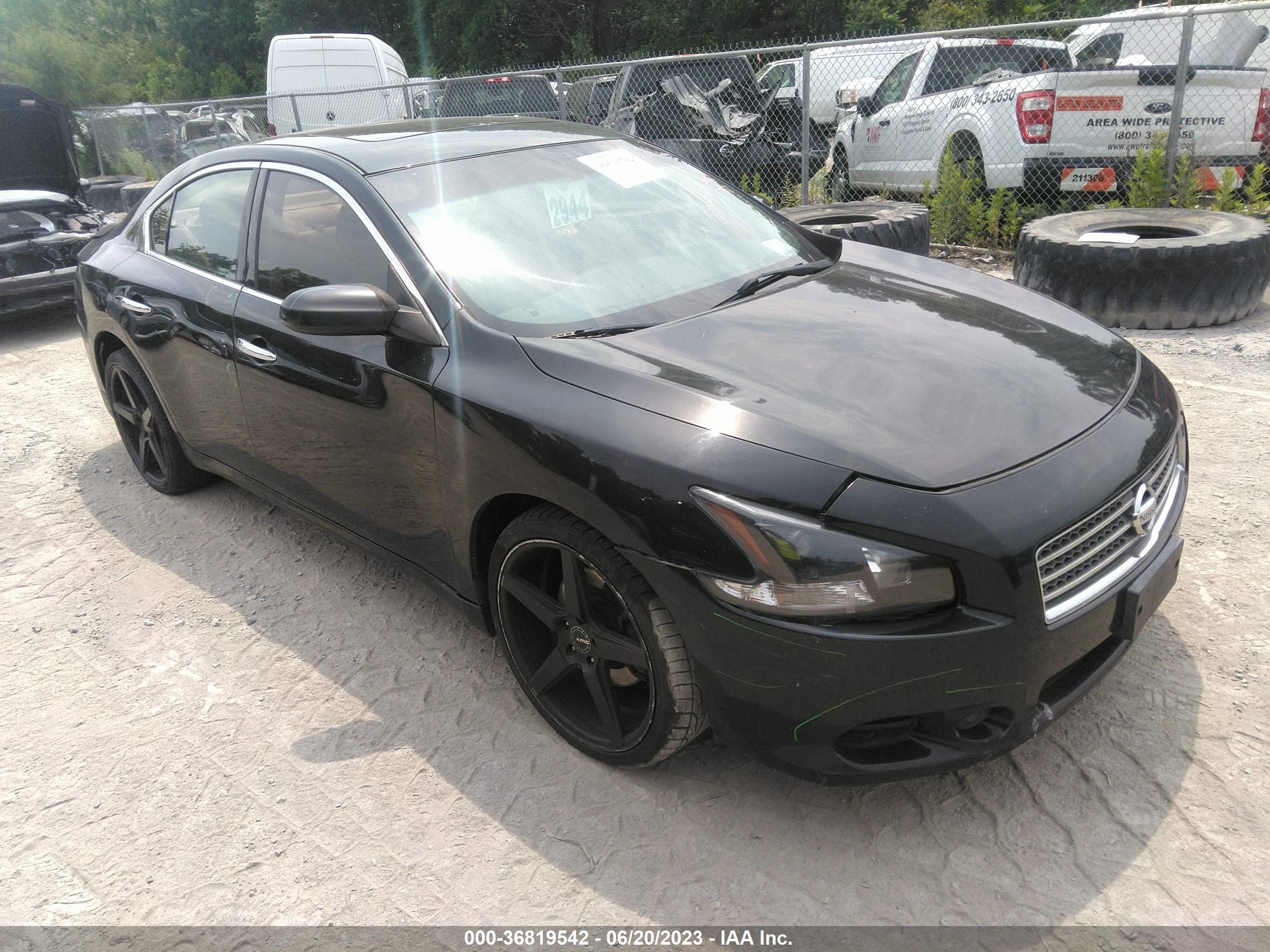 NISSAN MAXIMA 2011 1n4aa5ap3bc860704