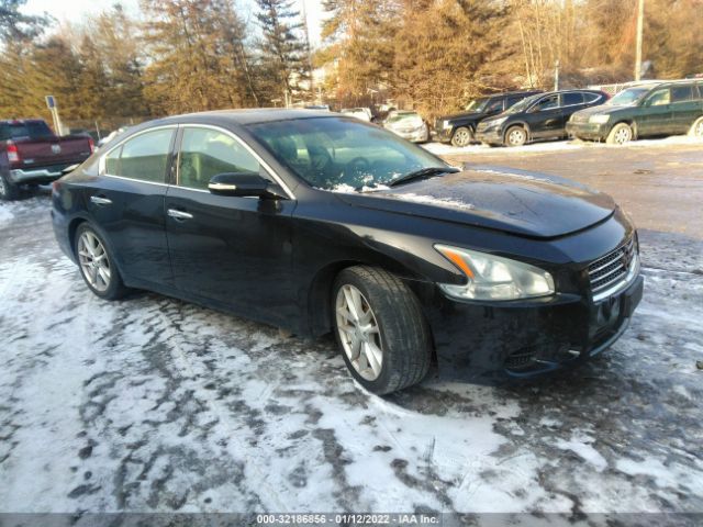 NISSAN MAXIMA 2011 1n4aa5ap3bc867622