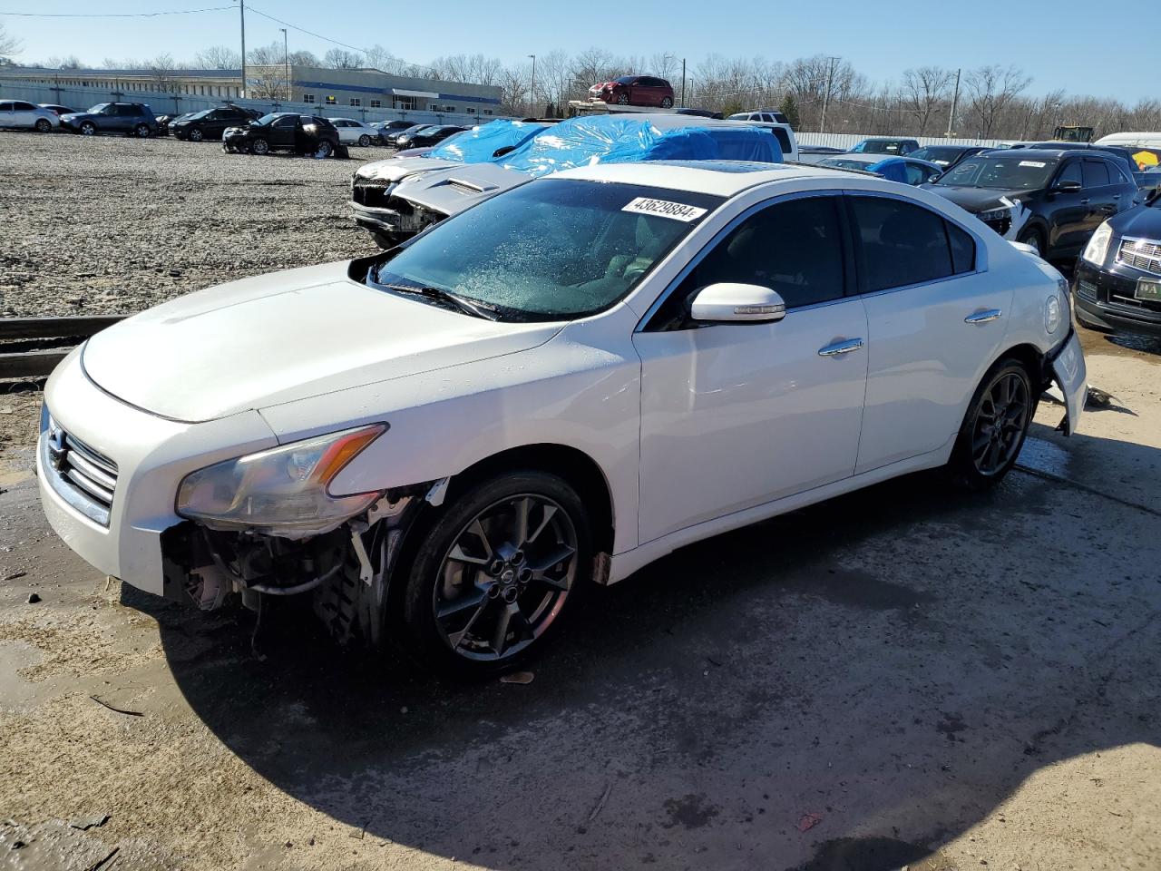 NISSAN MAXIMA 2012 1n4aa5ap3cc838977