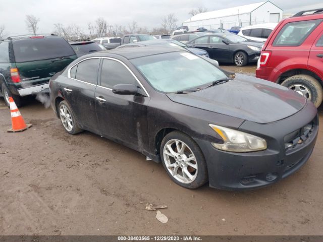 NISSAN MAXIMA 2013 1n4aa5ap3dc825924