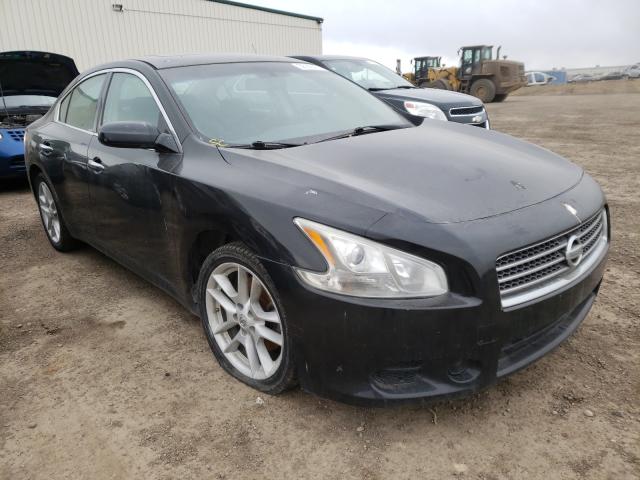 NISSAN MAXIMA S 2010 1n4aa5ap4ac801403