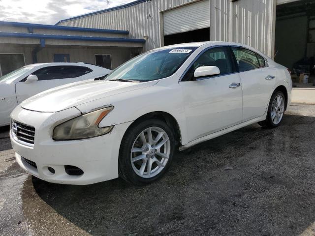 NISSAN MAXIMA 2010 1n4aa5ap4ac803765