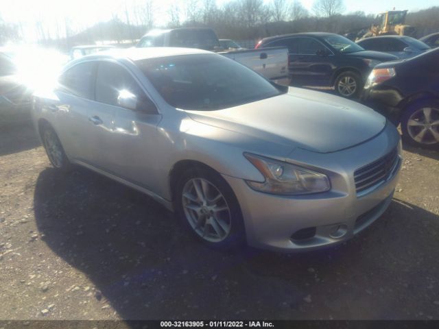 NISSAN MAXIMA 2010 1n4aa5ap4ac803796