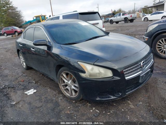 NISSAN MAXIMA 2010 1n4aa5ap4ac806911