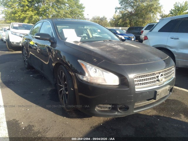 NISSAN MAXIMA 2010 1n4aa5ap4ac808903