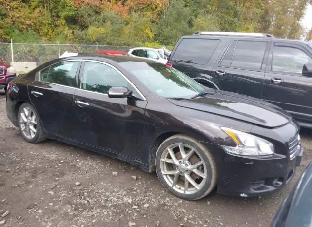 NISSAN NULL 2010 1n4aa5ap4ac810117