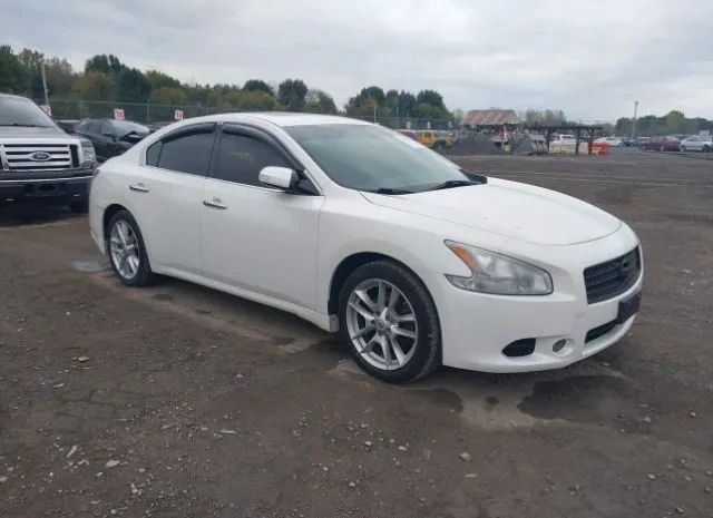 NISSAN MAXIMA 2010 1n4aa5ap4ac810862