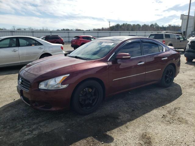 NISSAN MAXIMA 2010 1n4aa5ap4ac813065