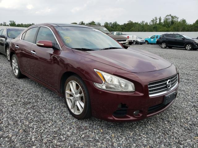 NISSAN MAXIMA S 2010 1n4aa5ap4ac814295