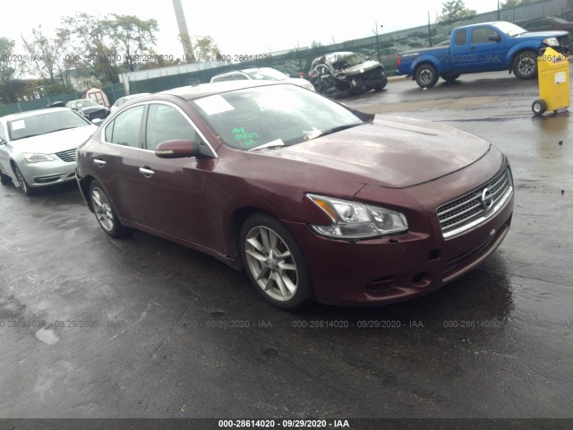 NISSAN MAXIMA 2010 1n4aa5ap4ac814765