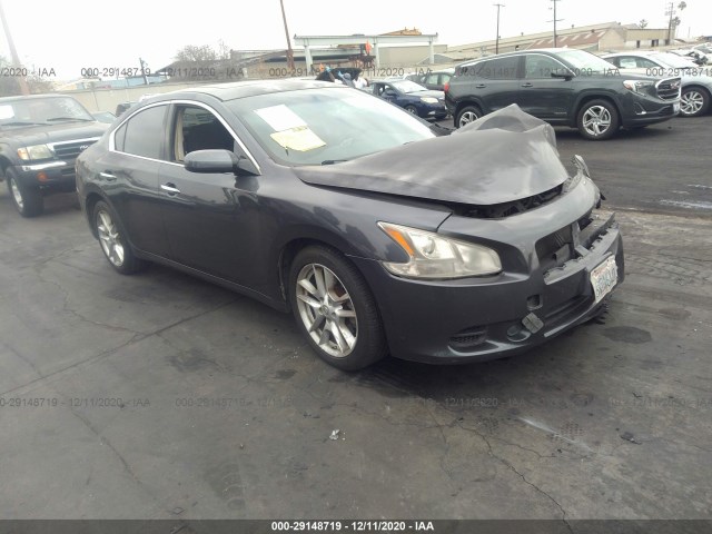 NISSAN MAXIMA 2010 1n4aa5ap4ac817603