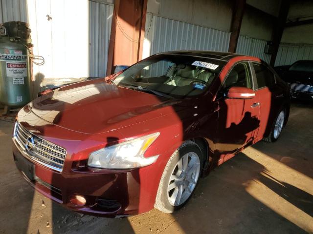 NISSAN MAXIMA 2010 1n4aa5ap4ac818265