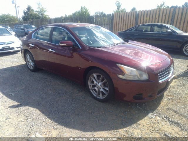 NISSAN MAXIMA 2010 1n4aa5ap4ac822459