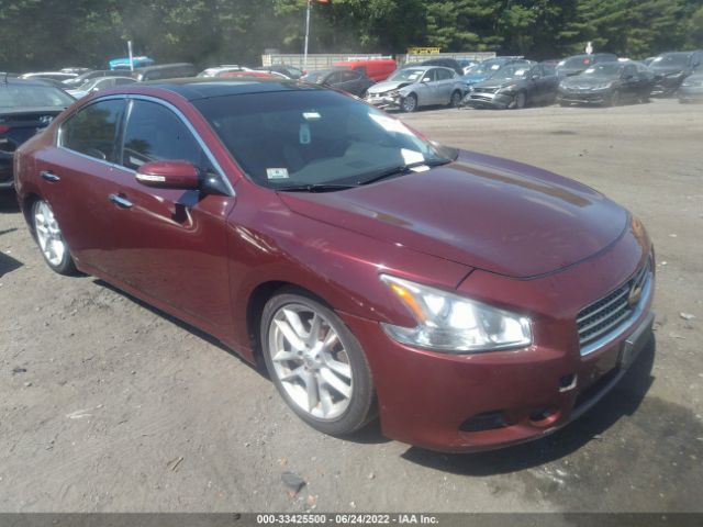 NISSAN MAXIMA 2010 1n4aa5ap4ac824681