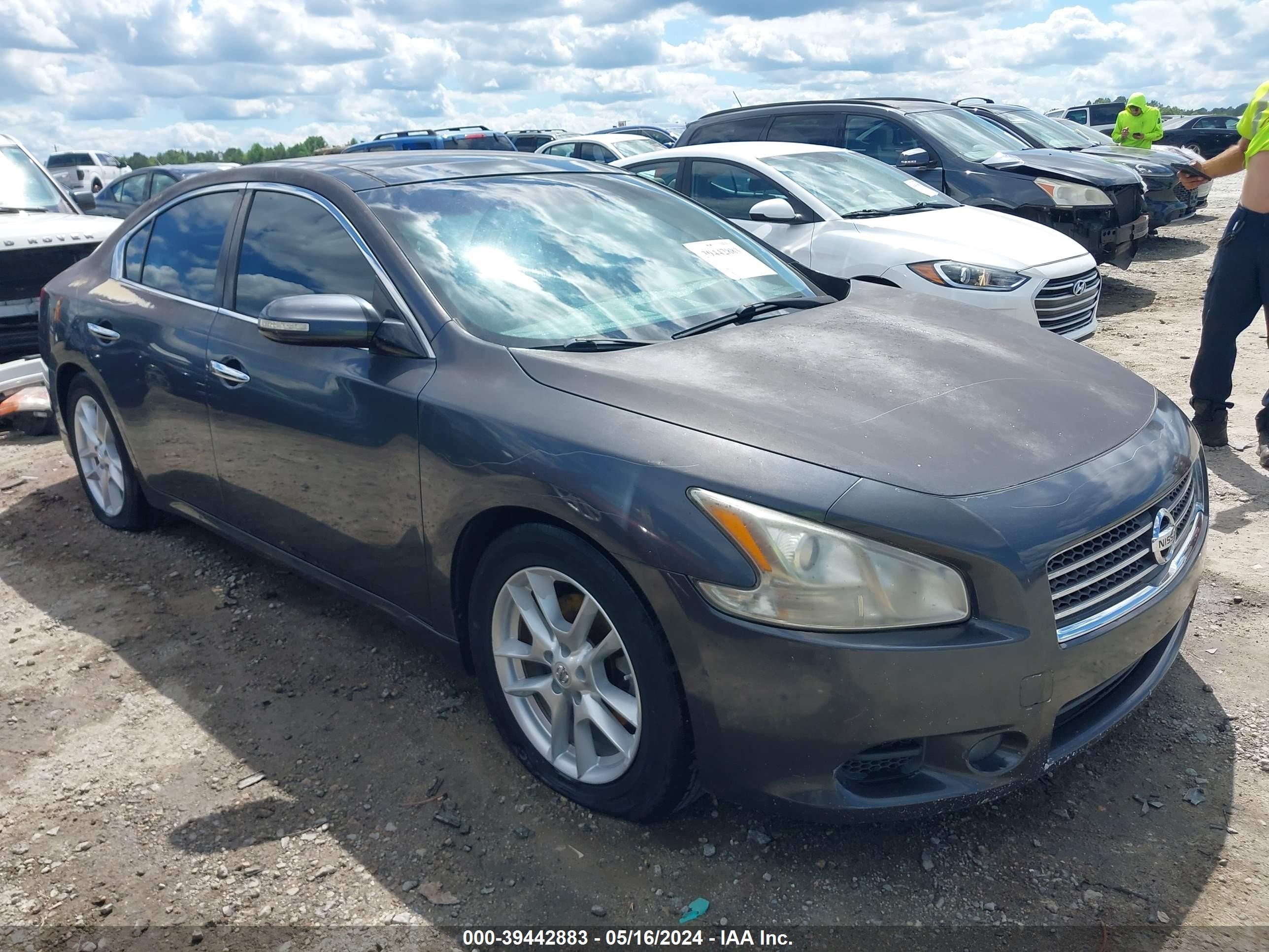 NISSAN MAXIMA 2010 1n4aa5ap4ac825894