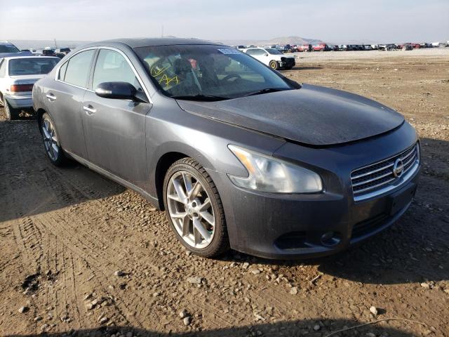 NISSAN MAXIMA S 2010 1n4aa5ap4ac831131