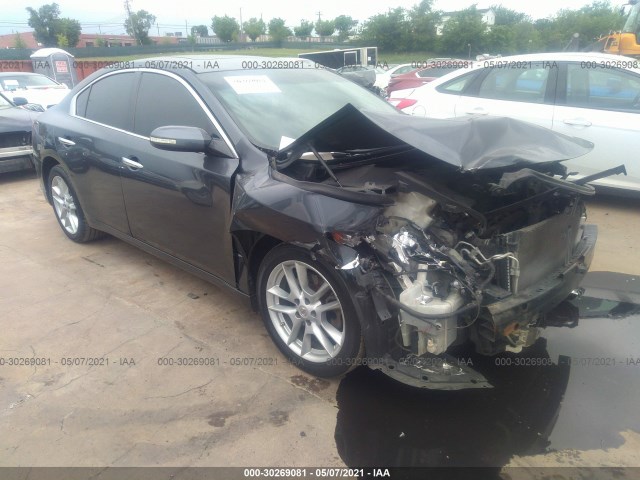 NISSAN MAXIMA 2010 1n4aa5ap4ac836510