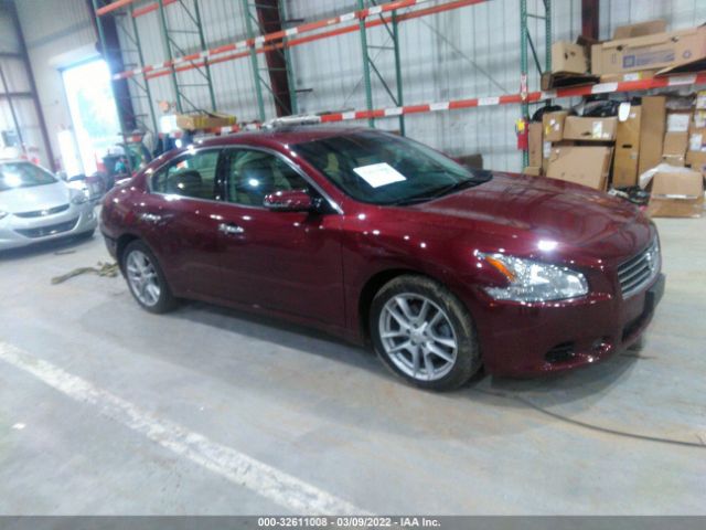 NISSAN MAXIMA 2010 1n4aa5ap4ac837219