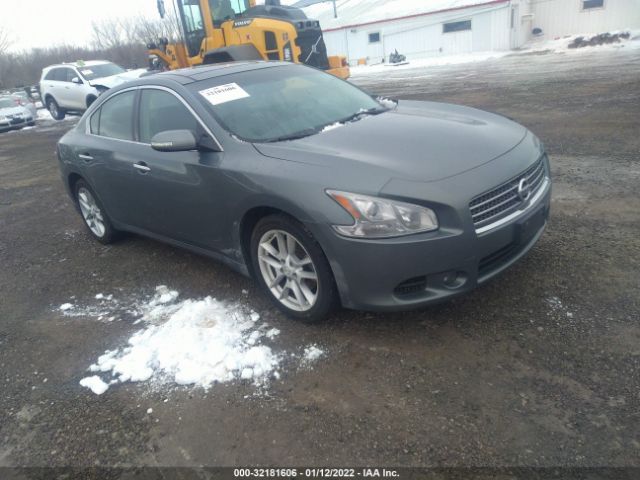 NISSAN MAXIMA 2010 1n4aa5ap4ac837303