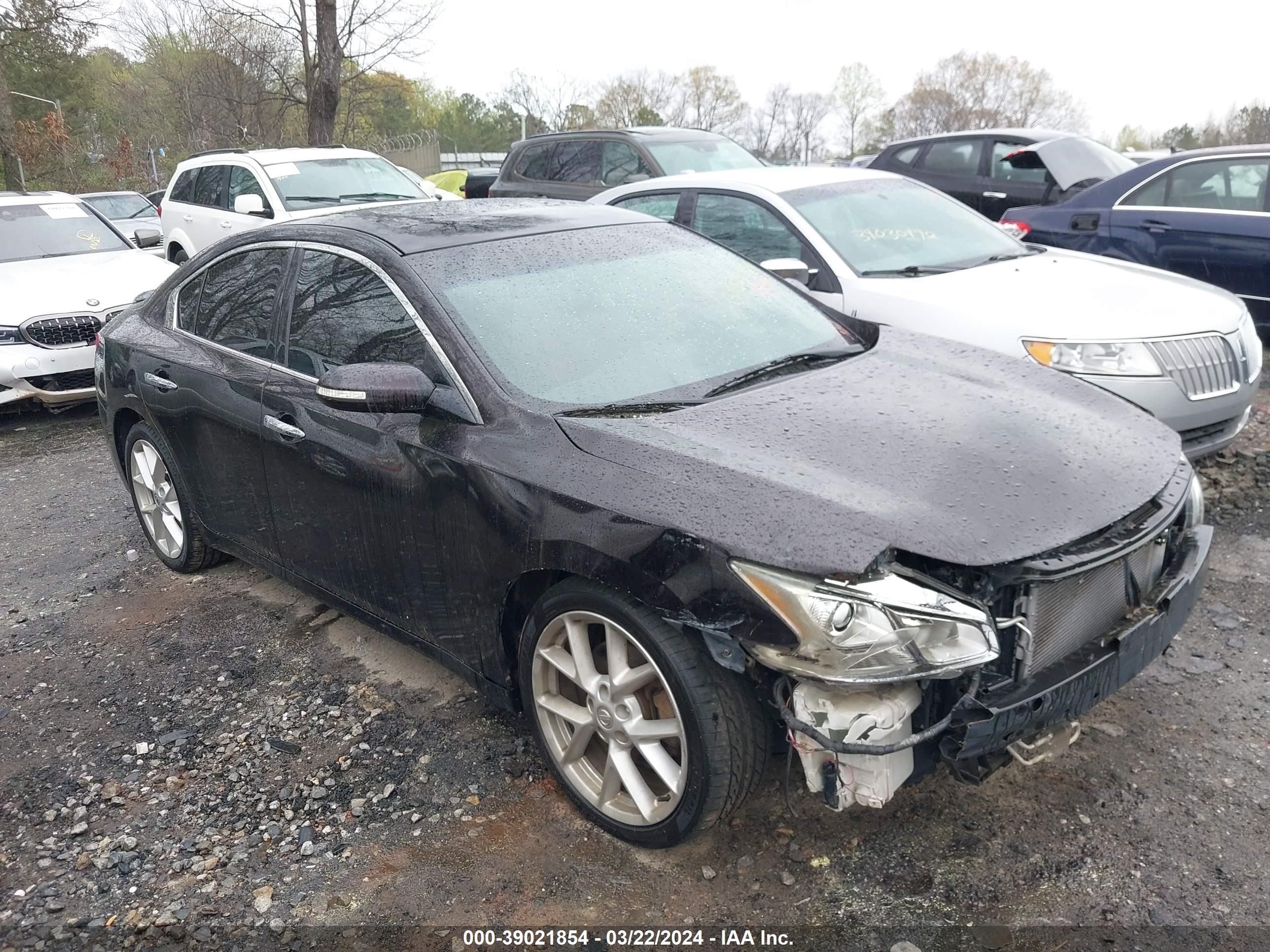 NISSAN MAXIMA 2010 1n4aa5ap4ac837589