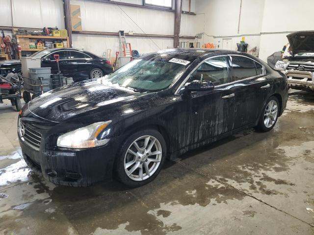 NISSAN MAXIMA 2010 1n4aa5ap4ac838239