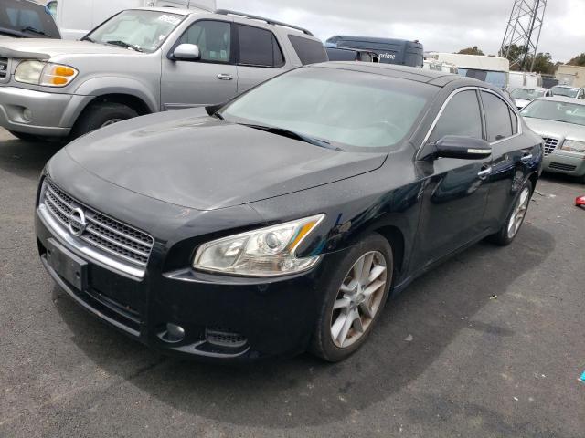 NISSAN MAXIMA 2010 1n4aa5ap4ac839021