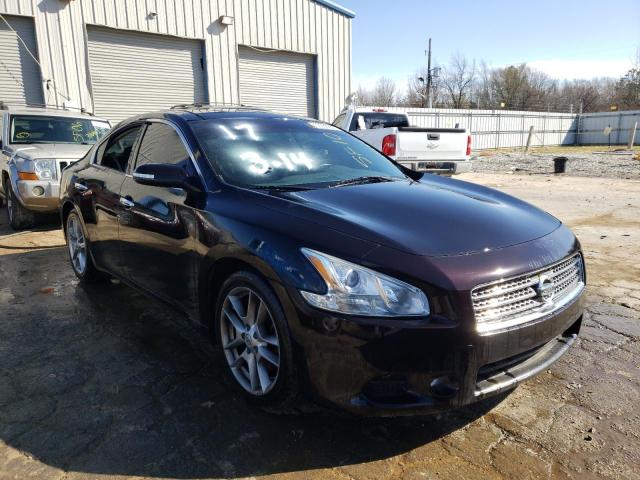 NISSAN MAXIMA 2010 1n4aa5ap4ac839732