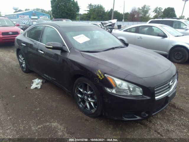 NISSAN MAXIMA 2010 1n4aa5ap4ac841061