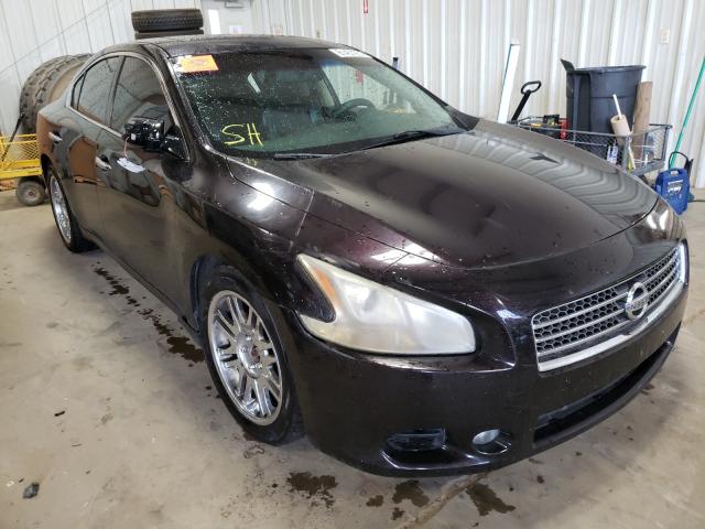 NISSAN MAXIMA S 2010 1n4aa5ap4ac850181