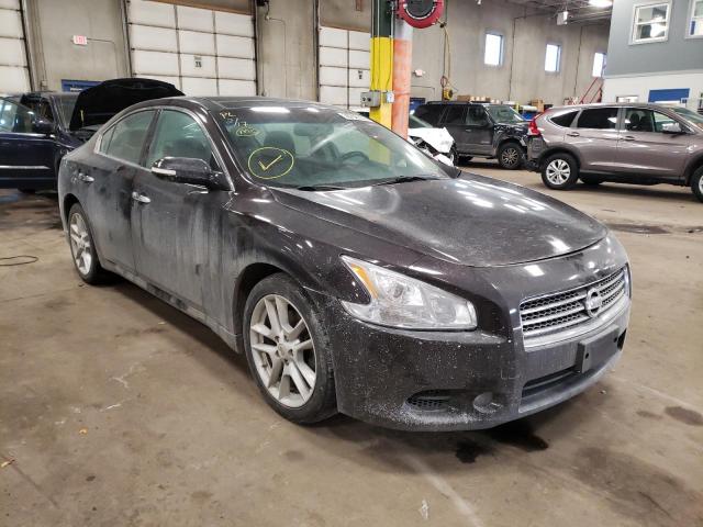 NISSAN MAXIMA 2010 1n4aa5ap4ac850729